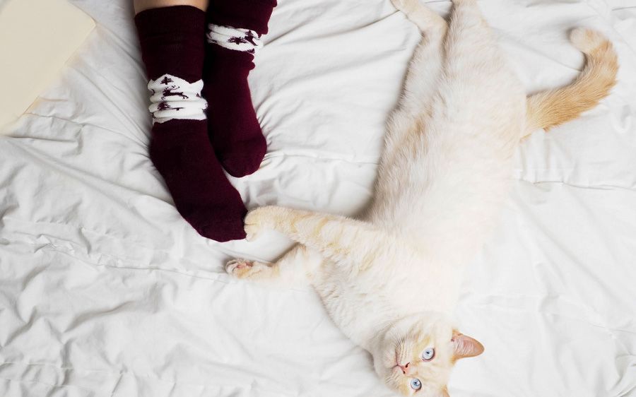 Cómo elegir las zapatillas de estar por casa perfectas para ti