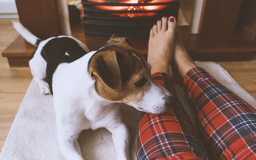 ¿Dónde me puedo llevar mis slippers?